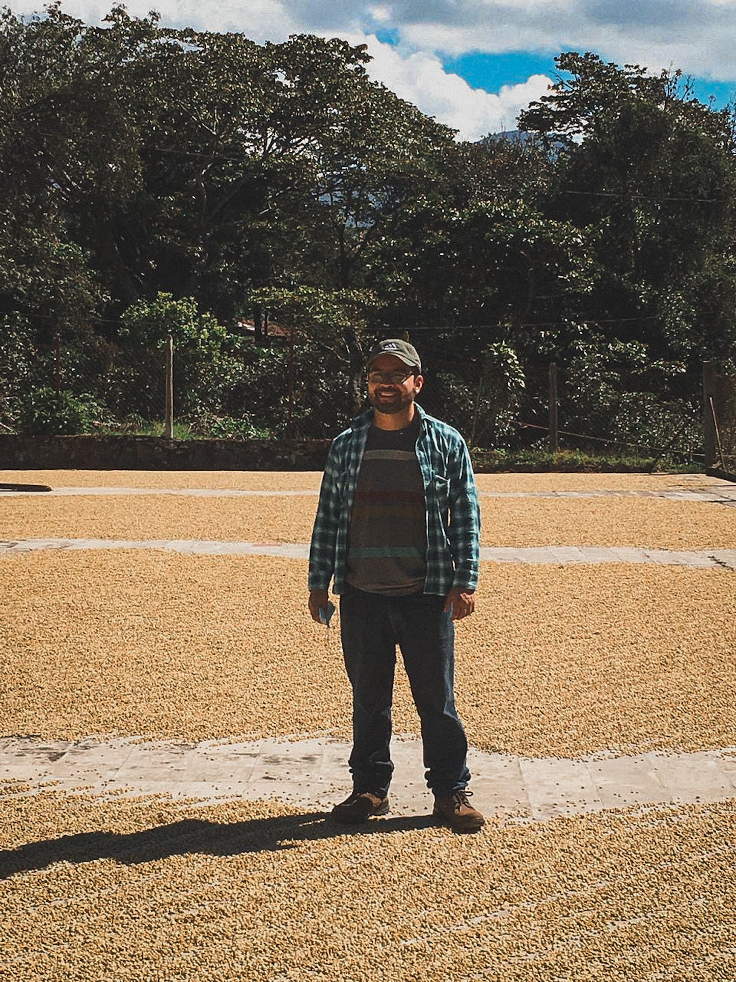 Guatemala - El Naranjo - Washed Bourbon / Caturra